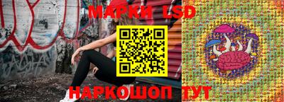 стаф Боровичи