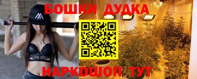 стаф Боровичи