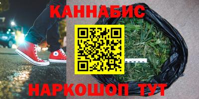 стаф Боровичи