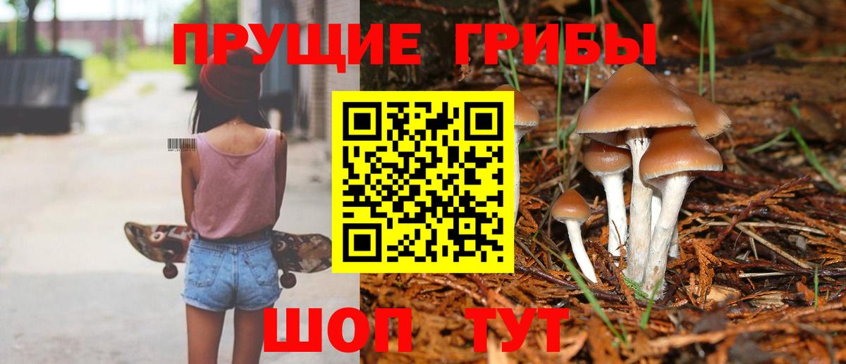 Галлюциногенные грибы прущие грибы Гатчина