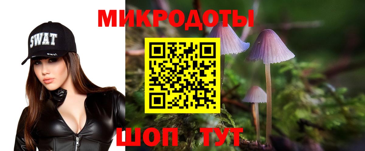 как найти закладки  Вход с VPN  Гатчина  Псилоцибиновые грибы Magic Shrooms 